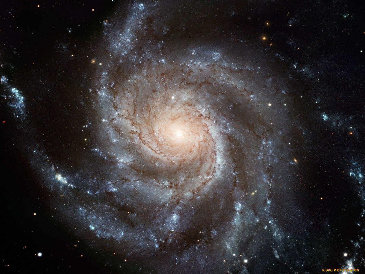 m101, , , 